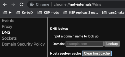 Google Chrome's net-internals' DNS page.
